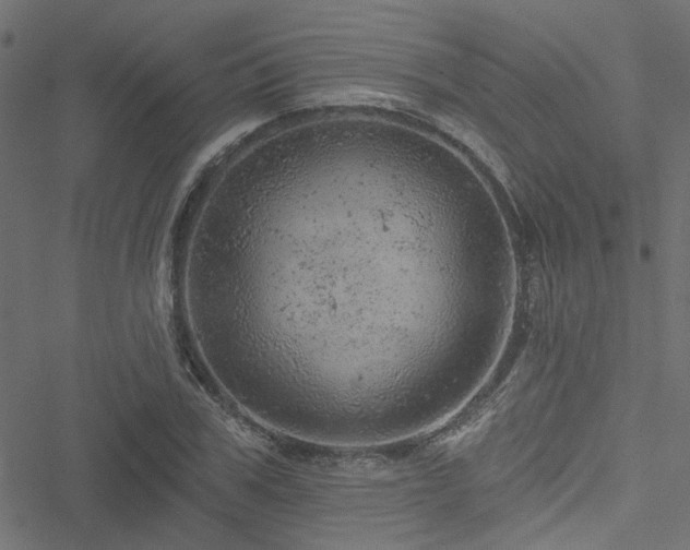 X0000051890979200506241345