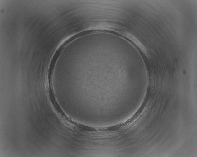 X0000051890980200506241345