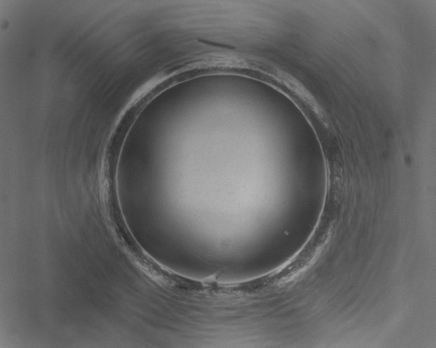 X0000051890981200506241345