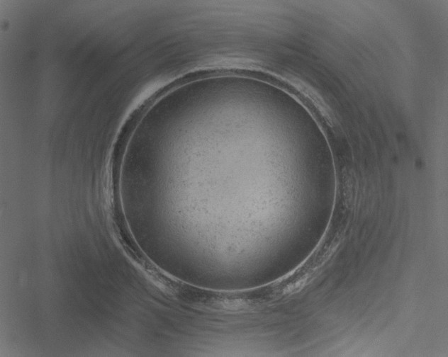 X0000051890982200506241345