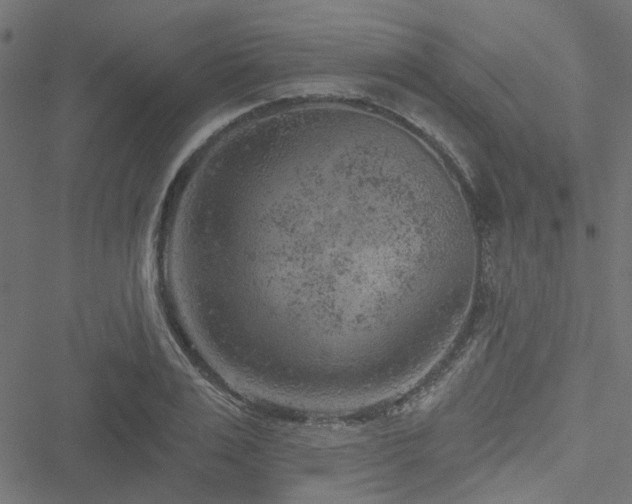 X0000051890983200506241345