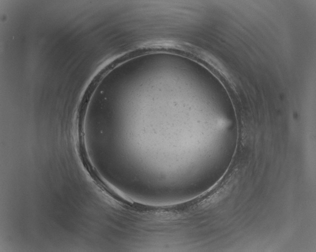 X0000051890984200506241345