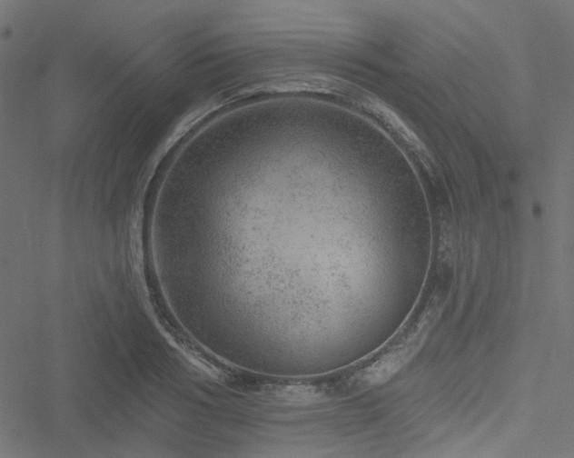 X0000051890986200506241345