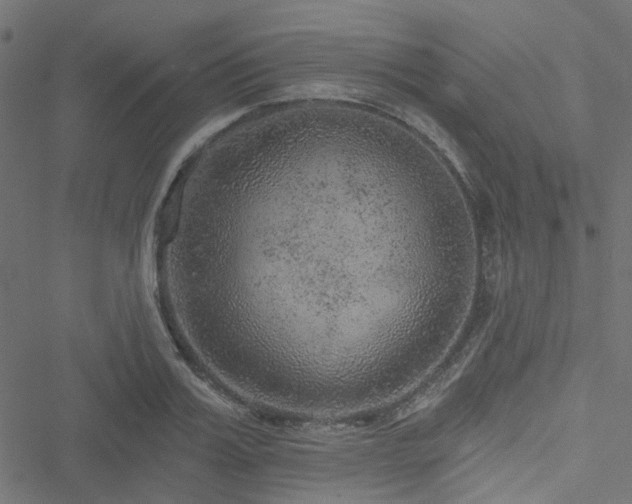 X0000051890987200506241344