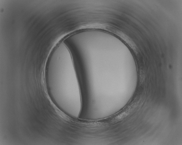 X0000051890988200506241344