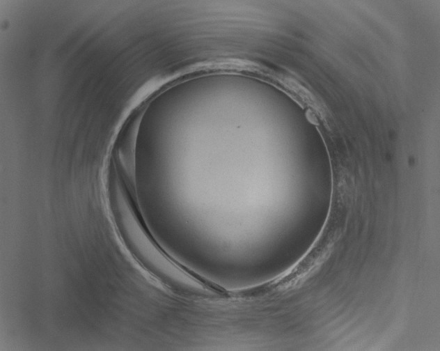 X0000051890989200506241344