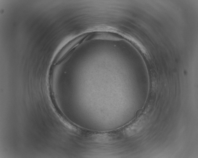 X0000051890990200506241344