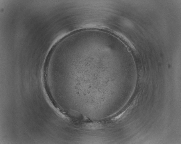 X0000051890991200506241344