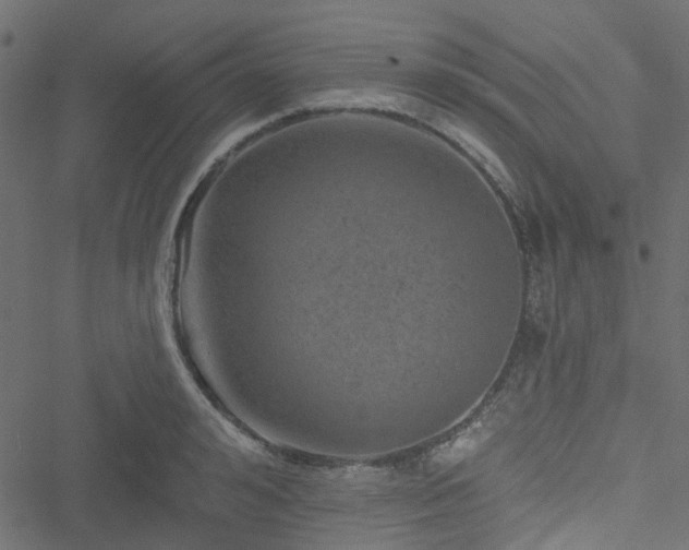 X0000051890992200506241344