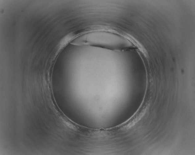 X0000051890993200506241344