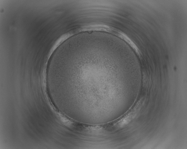 X0000051890994200506241344