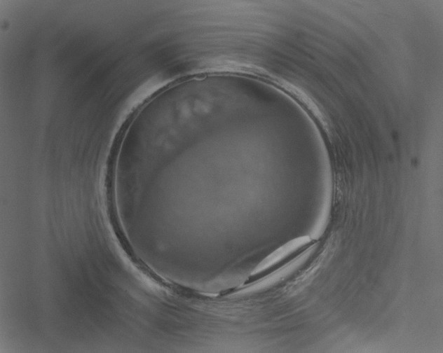 X0000051890995200506241344