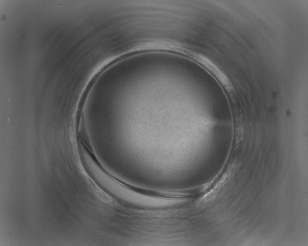 X0000051890996200506241344