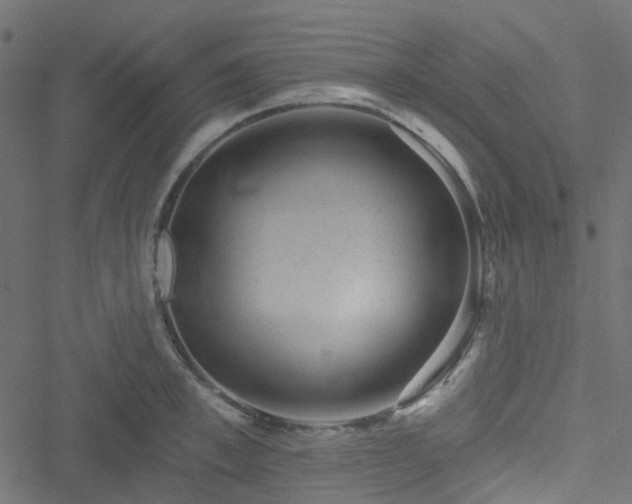 X0000051890997200506241344