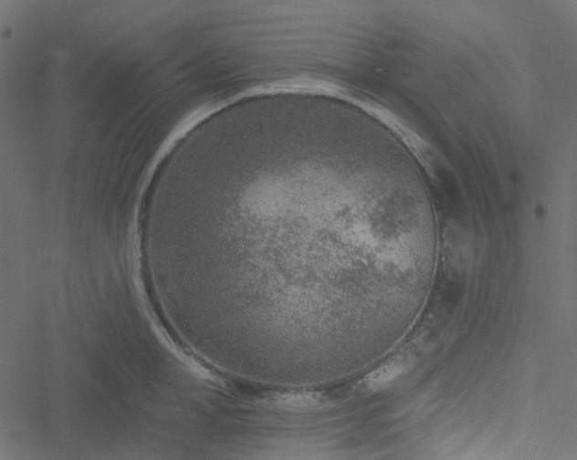 X0000051890998200506241344