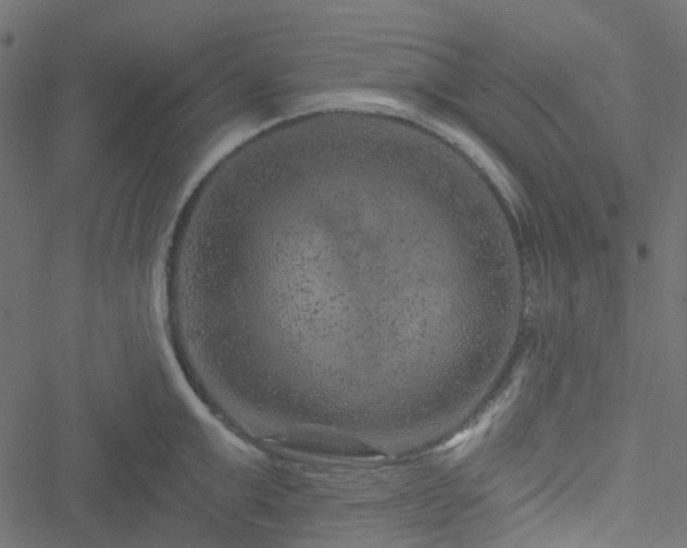 X0000051890999200506241344