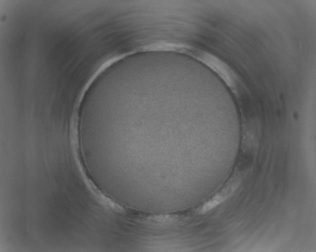 X0000051891000200506241344