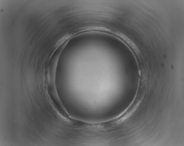 X0000051891001200506241344