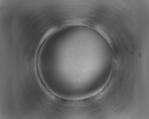 X0000051891002200506241344