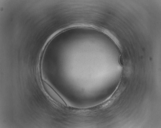 X0000051891004200506241344