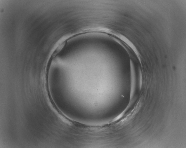 X0000051891005200506241344