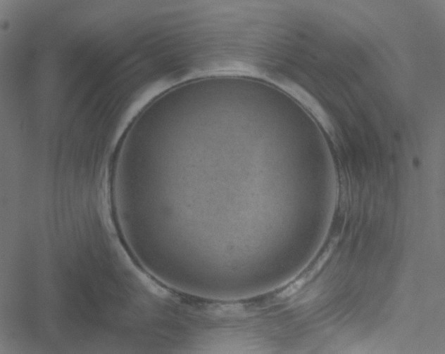 X0000051891006200506241344