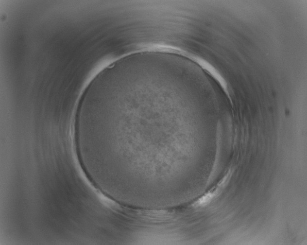 X0000051891007200506241344