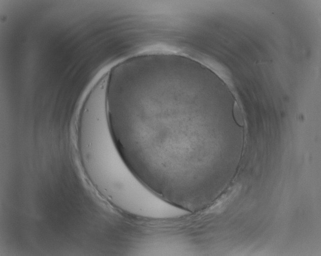 X0000051891008200506241344