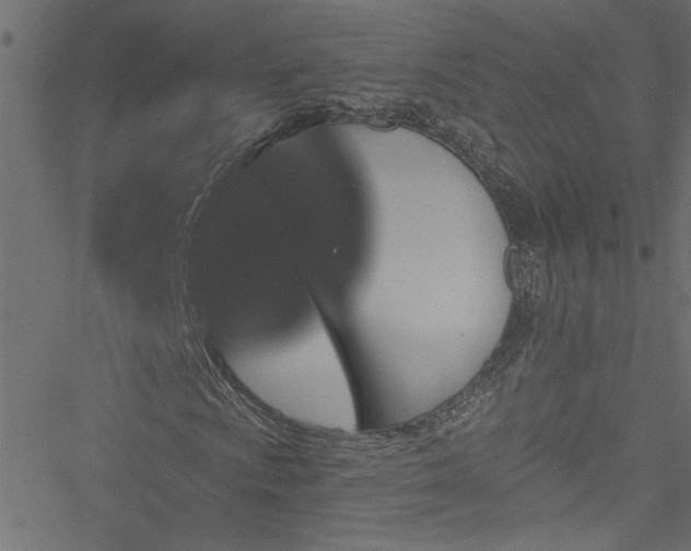 X0000051891009200506241343