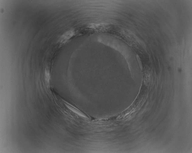 X0000051891010200506241343