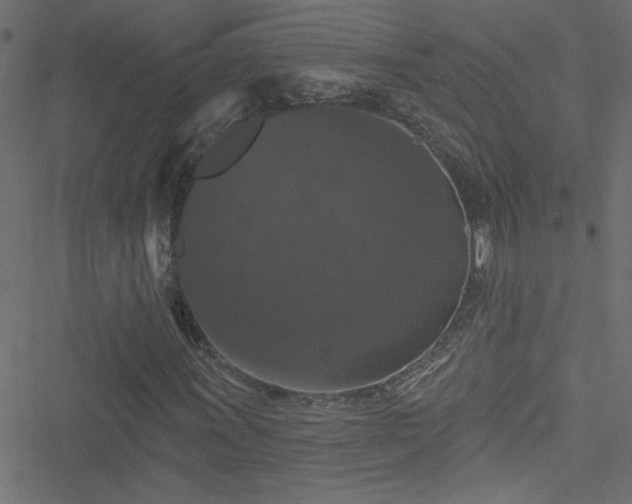 X0000051891011200506241343