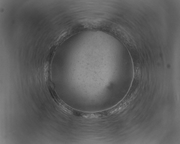 X0000051891012200506241343