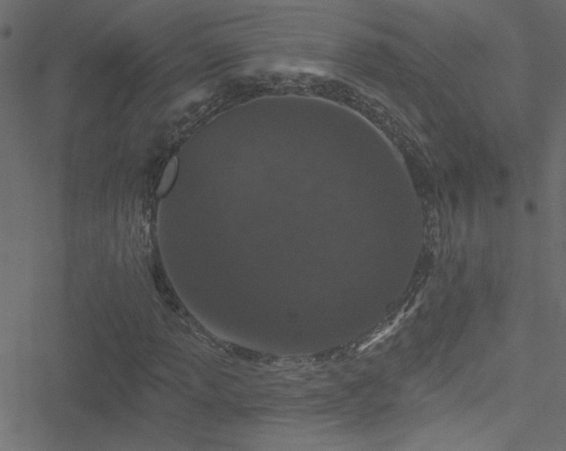 X0000051891013200506241343