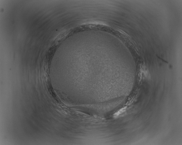 X0000051891014200506241343