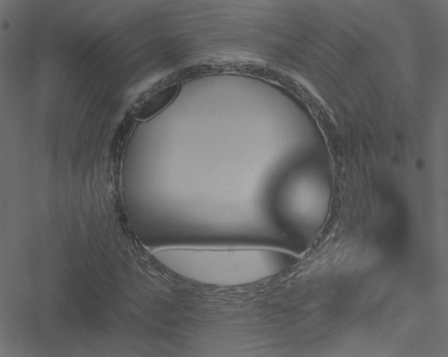 X0000051891016200506241343