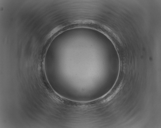 X0000051891017200506241344