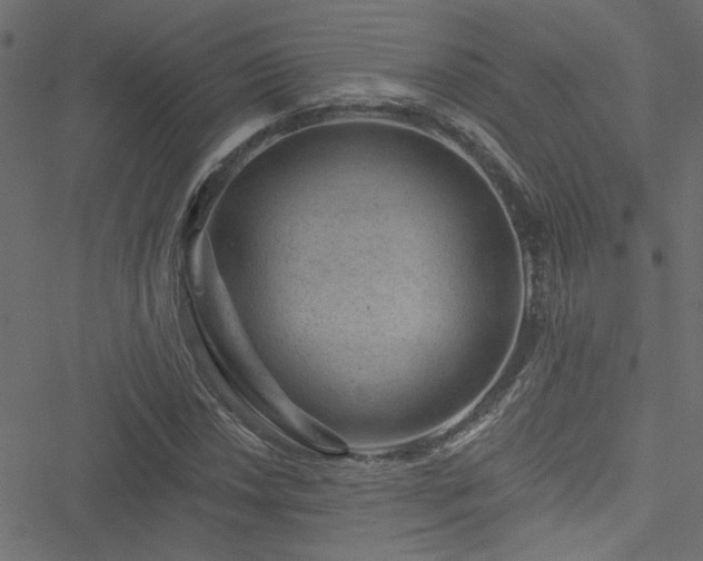 X0000051891018200506241344