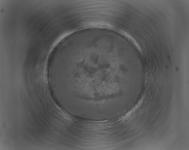 X0000051891019200506241344