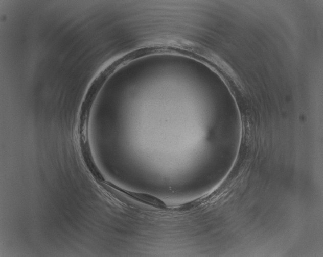 X0000051891020200506241344