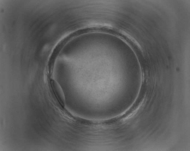 X0000051891021200506241344