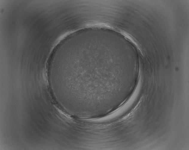 X0000051891022200506241344