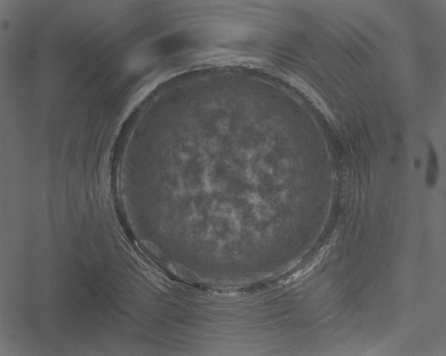 X0000051891023200506241344