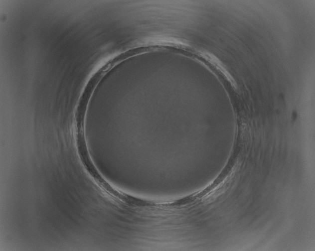 X0000051891024200506241344