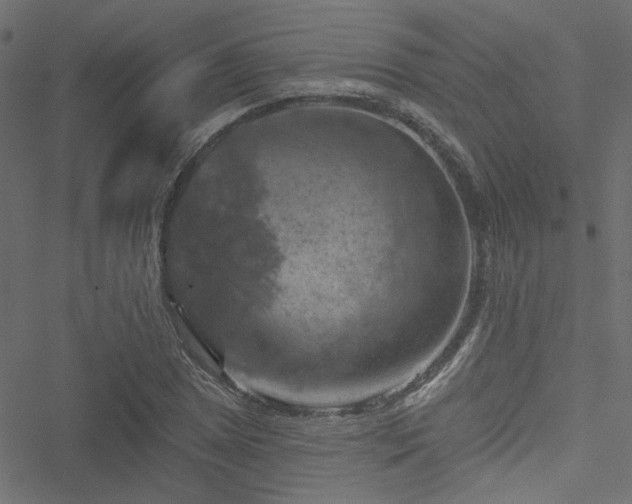 X0000051891025200506241344