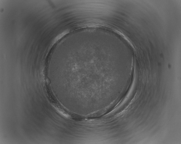 X0000051891026200506241344