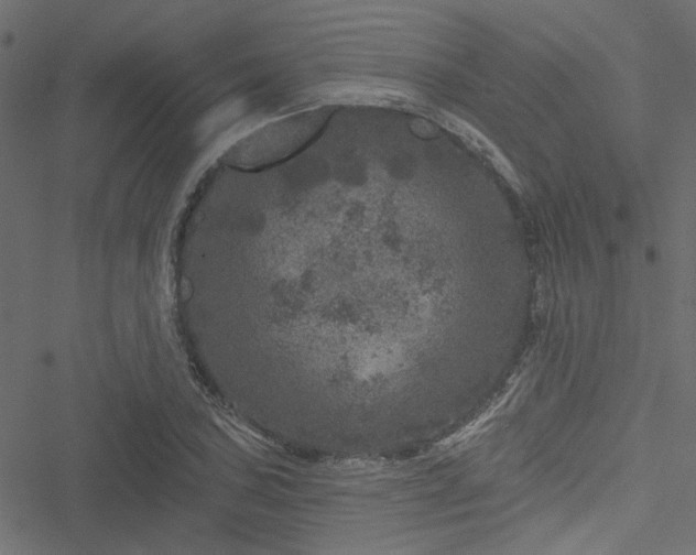 X0000051891027200506241344