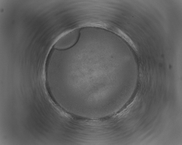 X0000051891028200506241344