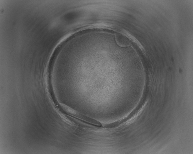 X0000051891029200506241344