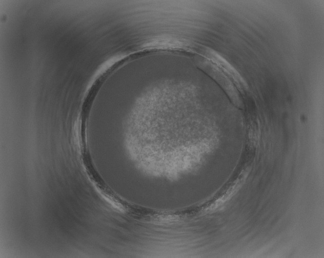 X0000051891030200506241344