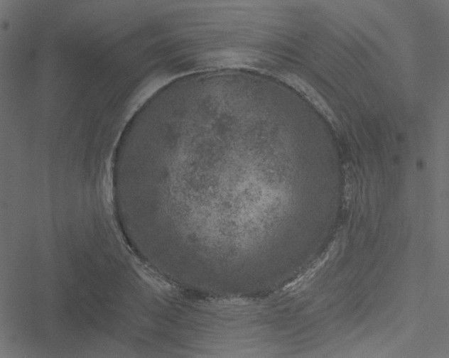 X0000051891031200506241344